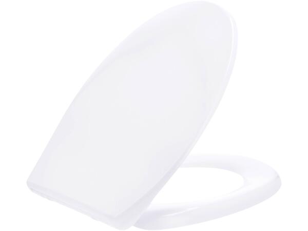 Toilet Seat with Soft Close Mechanism