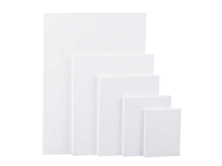Set of Canvas with Tensioning Wedges
