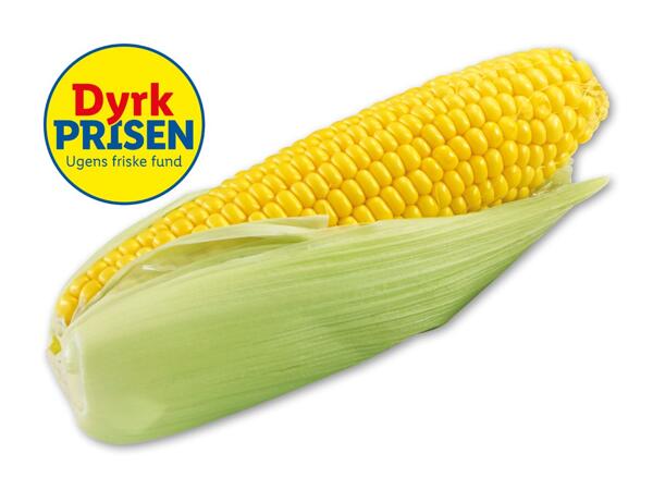 Dansk majs