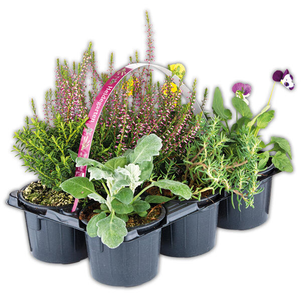 Heidegarten Mix