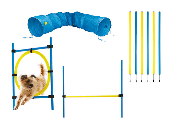 ZOOFARI(R) Agility