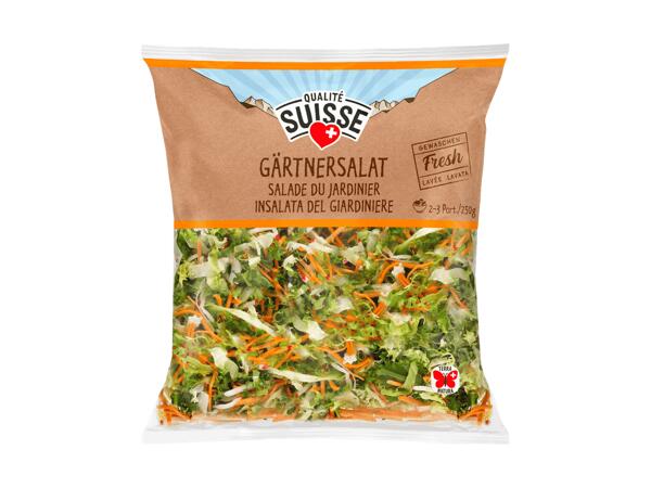 Salade du jardinier