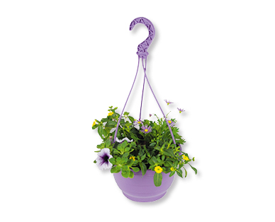 Fleurs d'été suspendues GARDENLINE(R)