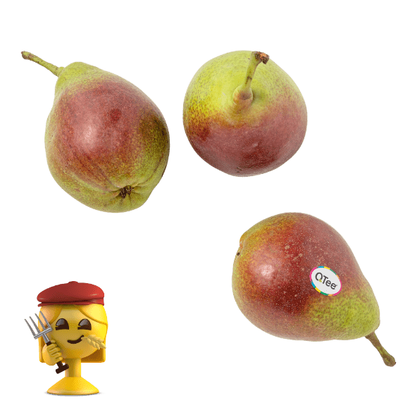 QTEE(R) 	 				Birnen