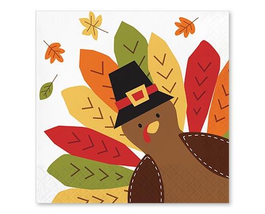 Boulder Fall Napkins