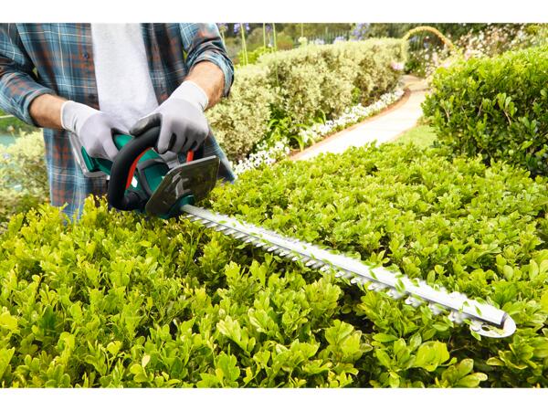 20V Cordless Hedge Trimmer
