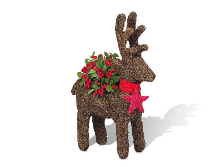 Christmas Reindeer Planter