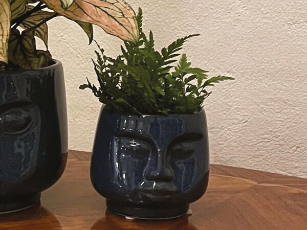 Grøn plante i ansigtskeramik