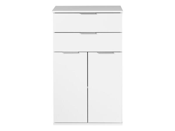 Cabinet with 2 Drawers and 2 Doors
