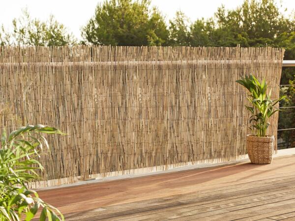 Reed Privacy Screen