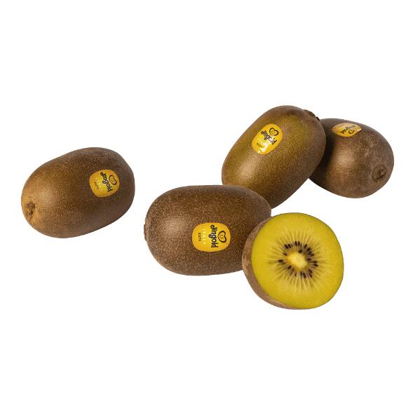 Kiwi Jingold