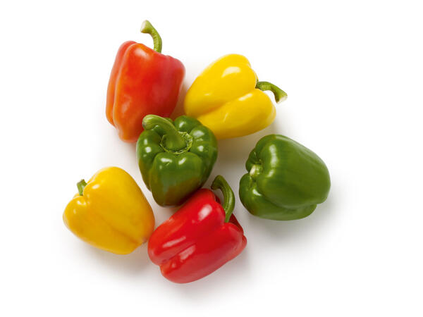 Paprika-Mix XXL