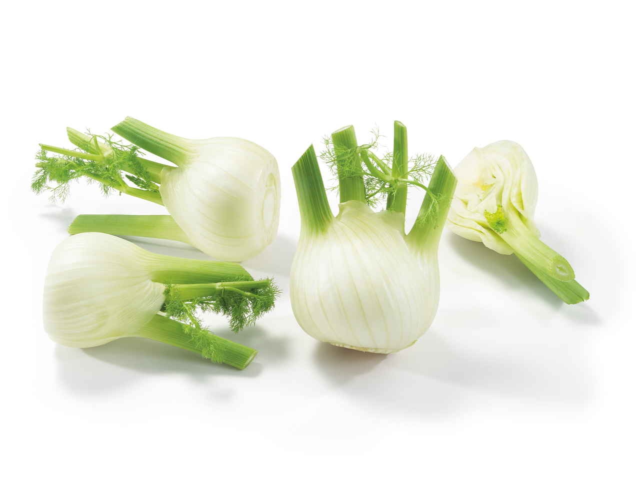 Fenouil bio