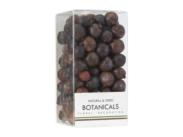 Botanical Decorations