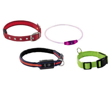 ROMEO 
 LED-HUNDEHALSBAND