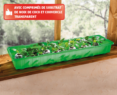 Lot de serres pour bordure de fenêtre GARDENLINE(R)