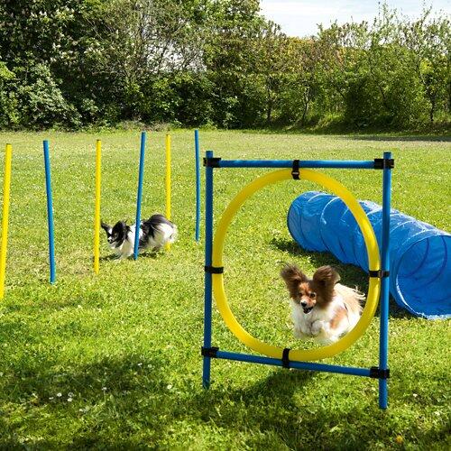 ROMEO Agility-Zubehör