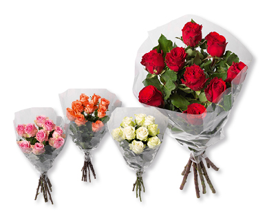 Roses à longues tiges Max Havelaar Fairtrade GARDENLINE(R)