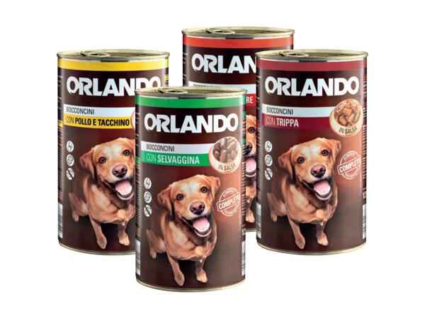 Dogfood chunk