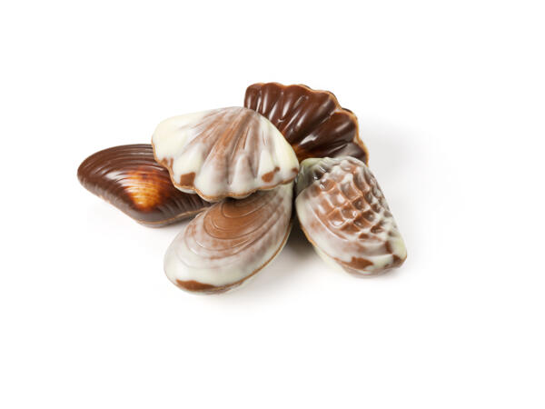 J.D. Gross Belgian Sea Shell Chocolates