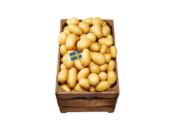 Ekologisk potatis