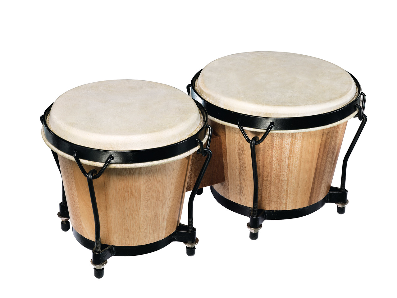 Bongo Set1