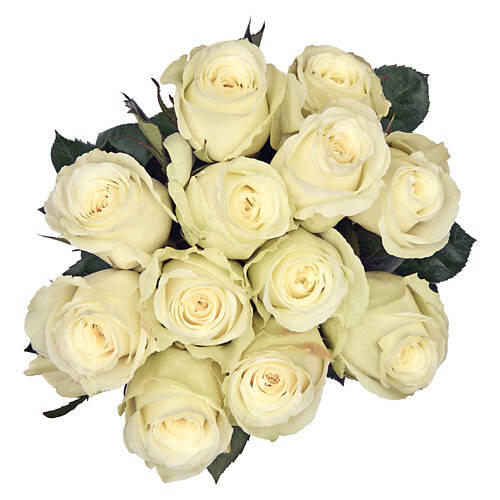 Valentine's Day 12 Stem Roses - Assorted Colors