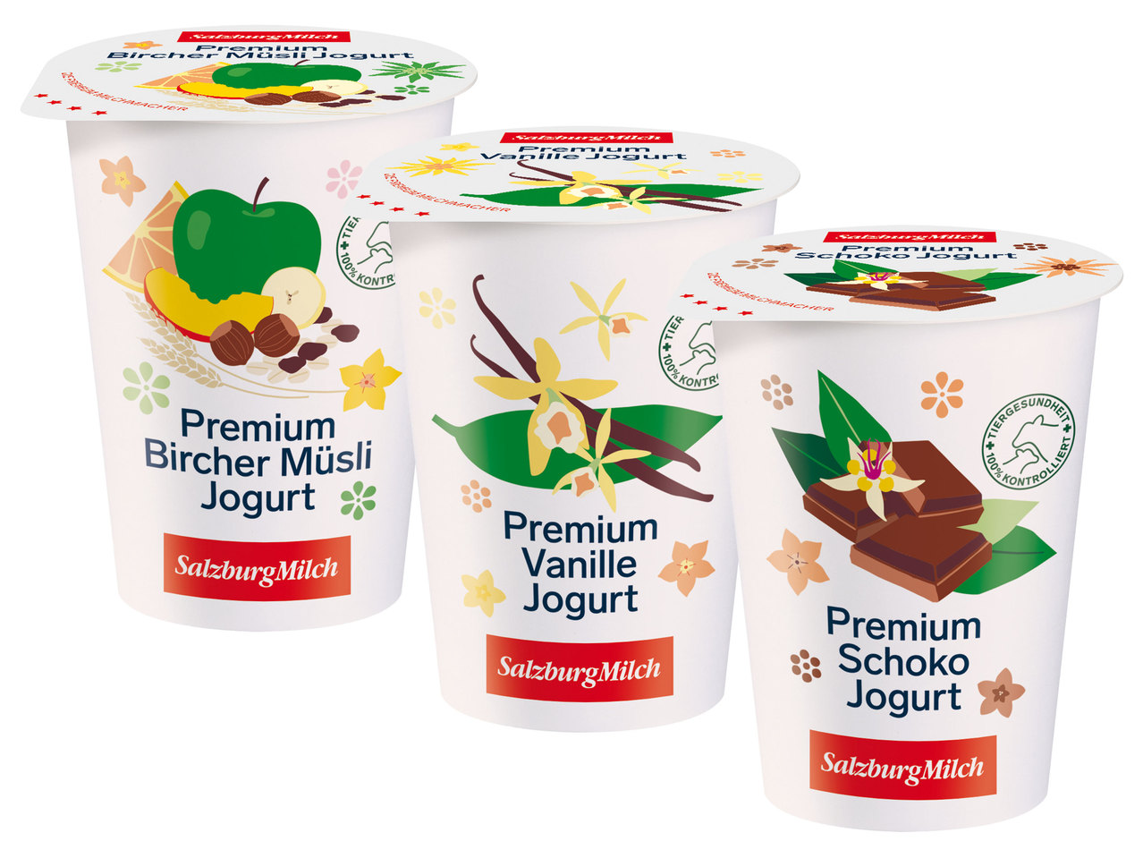 SALZBURGMILCH Fruchtjoghurt