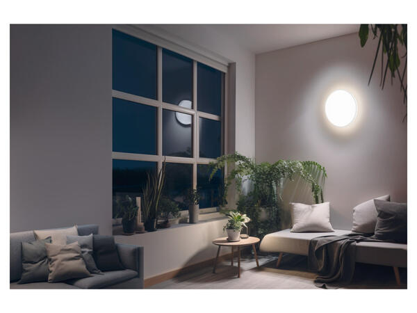 LIVARNO home Nástěnné / Stropní LED svítidlo