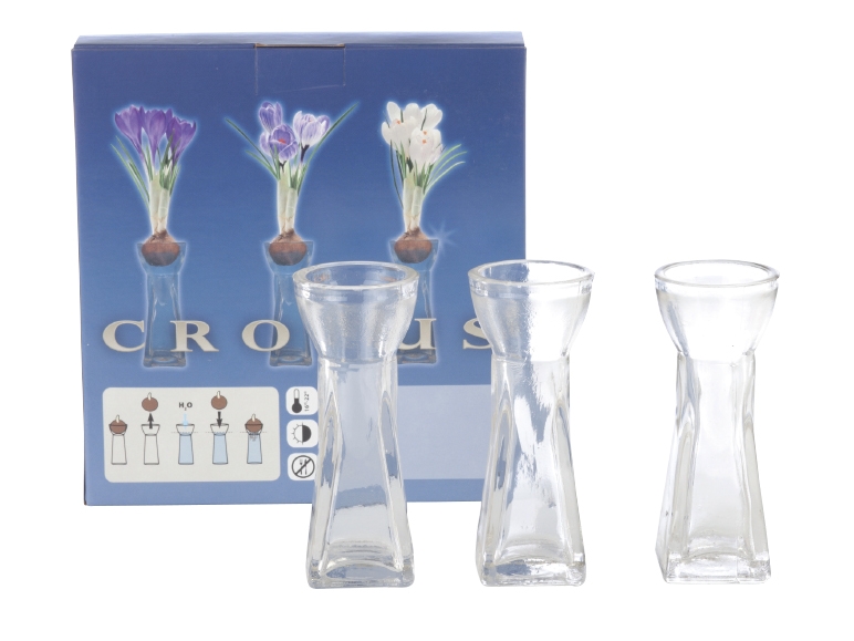 Crocus Bulb Set