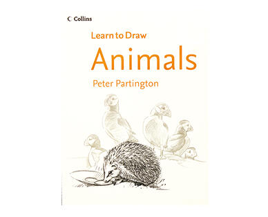 Learn to Draw Books