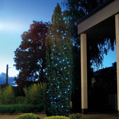 Éclairage solaire pour arbres et arbustes