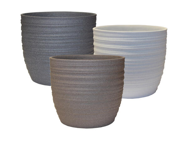 Indoor Ceramic Pot