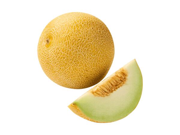 Melon Galia