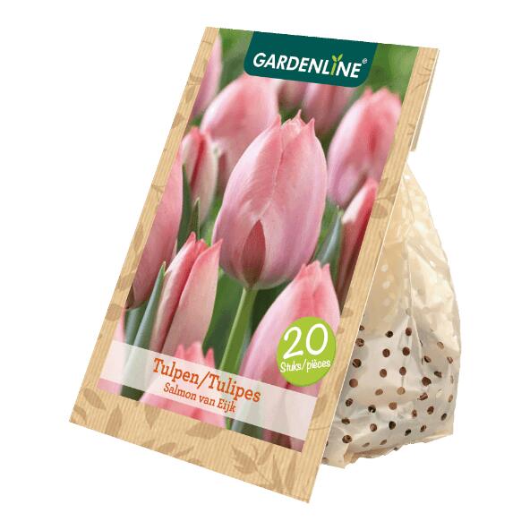 GARDENLINE(R) Tulpenzwiebeln, 20 St.