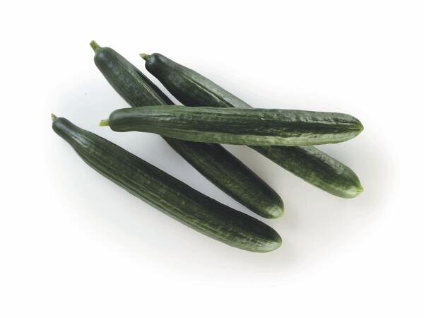 Dutch cucumbers