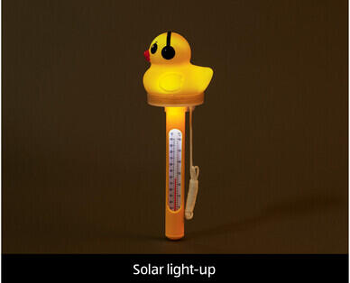 Floating Pool Thermometer
