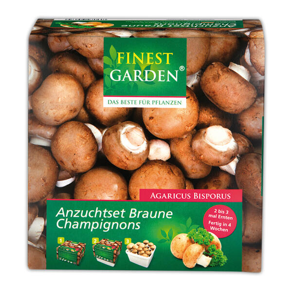 Champignon-Anzuchtset