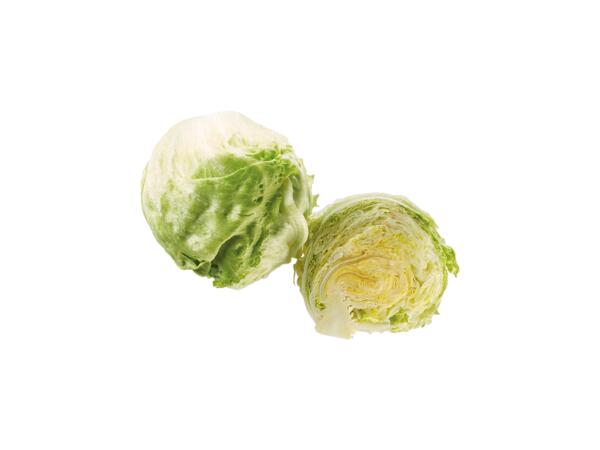 Iceberg Lettuce