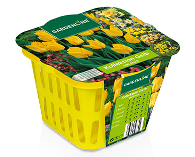 GARDENLINE(R) Blumenzwiebel-Mischung