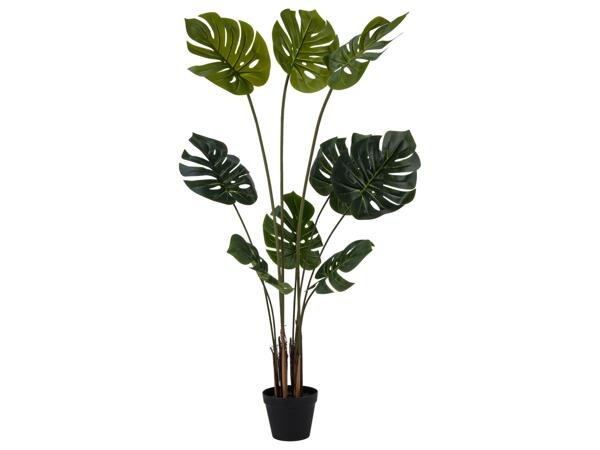 Artificial Plant