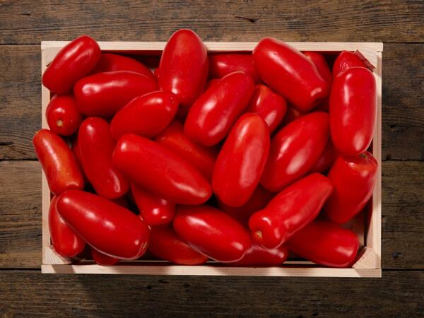 San Marzano Tomaten