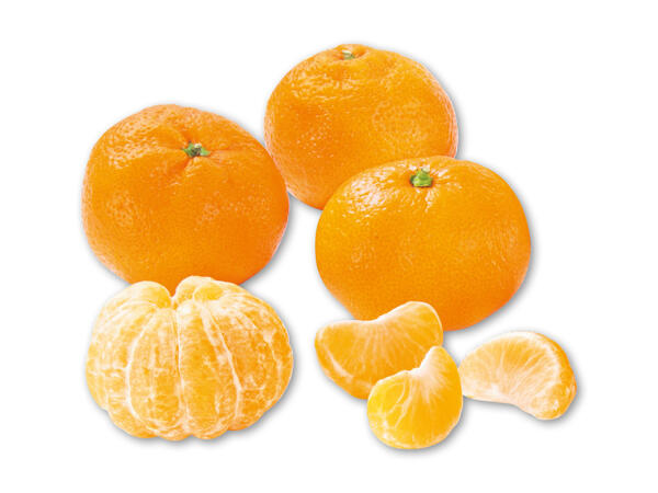Clementiner
