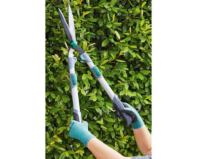 Telescopic Hedge Shears, Anvil Lopper or Bypass Lopper