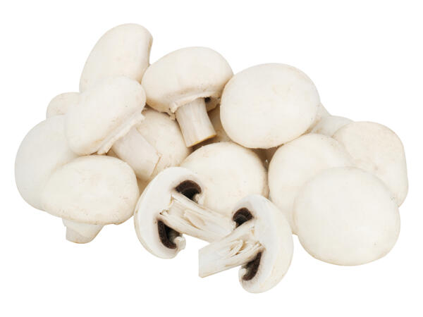 Champignons weiß