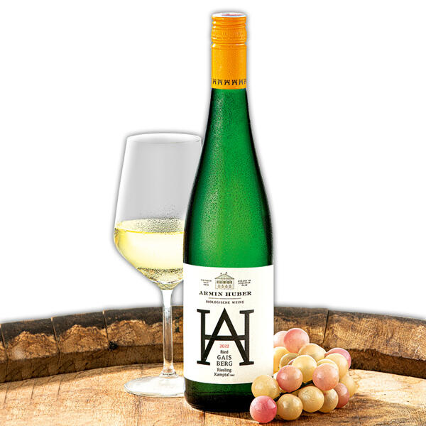 2022 Weingut Armin Huber Bio-Riesling Kamptal DAC