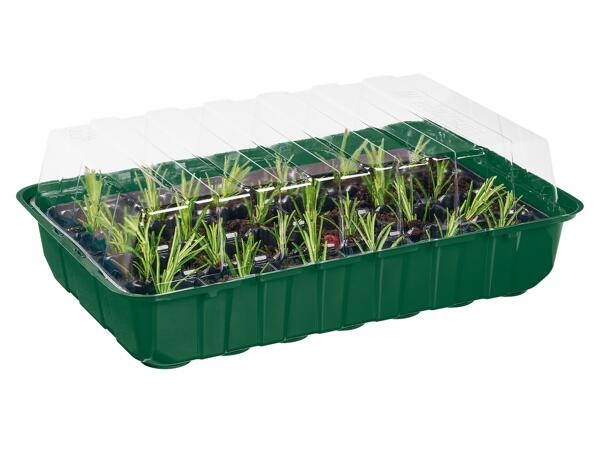 Propagator Set