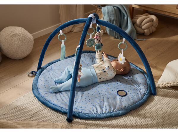 Baby Activity Gym
