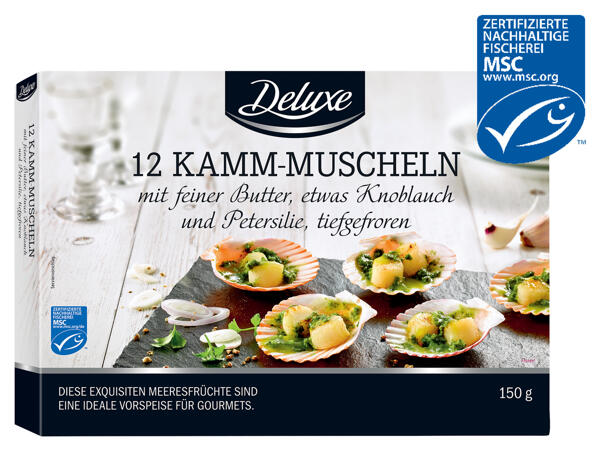 MSC Kamm-Muscheln