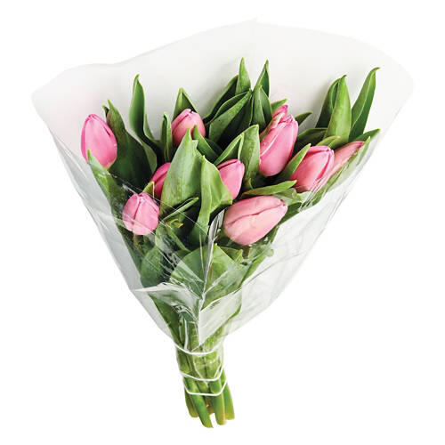 Mother's Day 10 Stem Tulip Bouquet - Assorted Color
